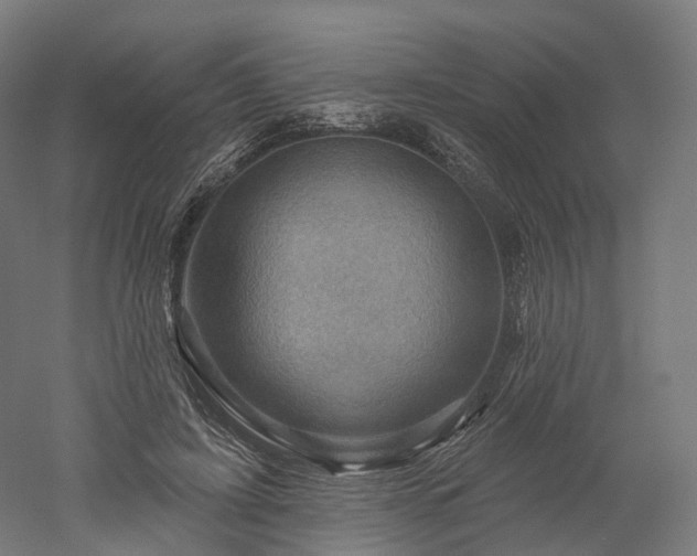 X0000052930595200507151619