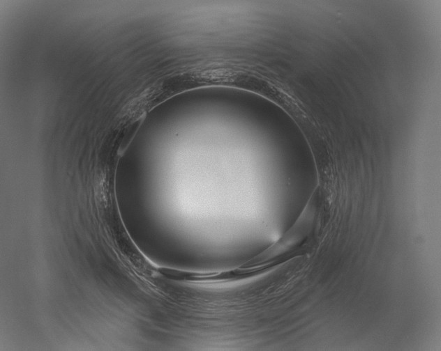 X0000052930597200507151619