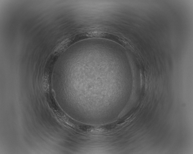 X0000052930599200507151619