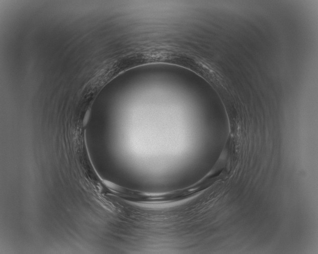 X0000052930601200507151619