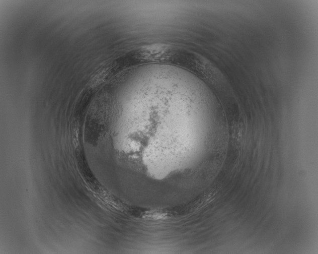 X0000052930602200507151619