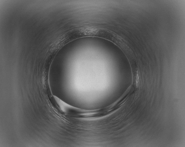 X0000052930604200507151619