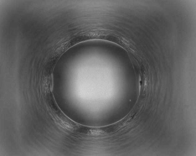 X0000052930605200507151619