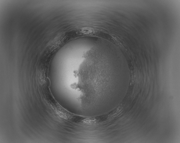 X0000052930606200507151619