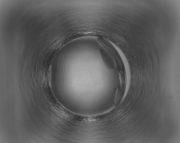 X0000052930607200507151619