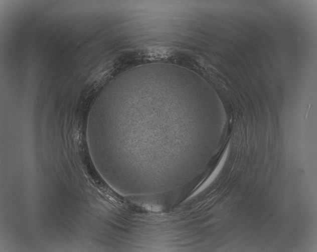 X0000052930608200507151619