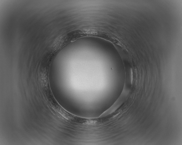X0000052930609200507151619