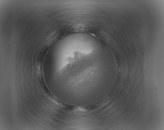 X0000052930610200507151618