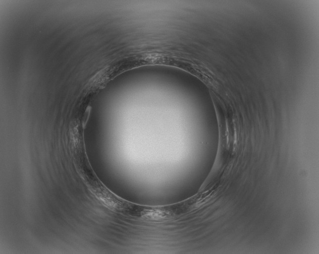 X0000052930611200507151618