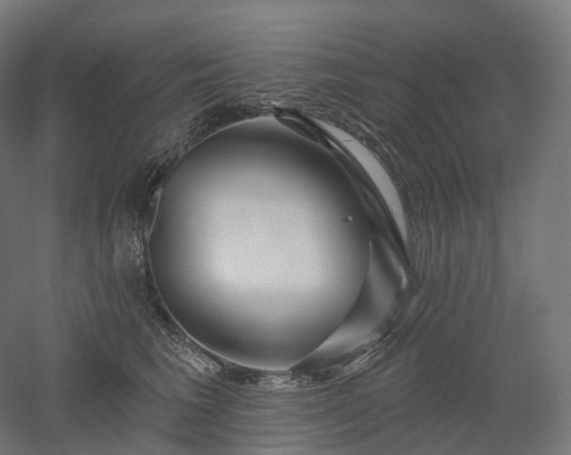 X0000052930613200507151618