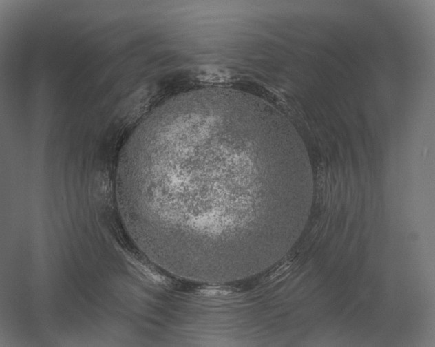 X0000052930614200507151618