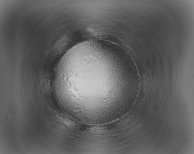 X0000052930615200507151618