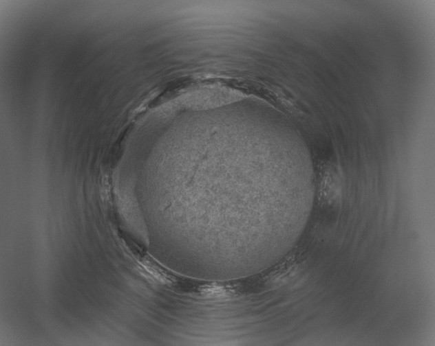 X0000052930616200507151618