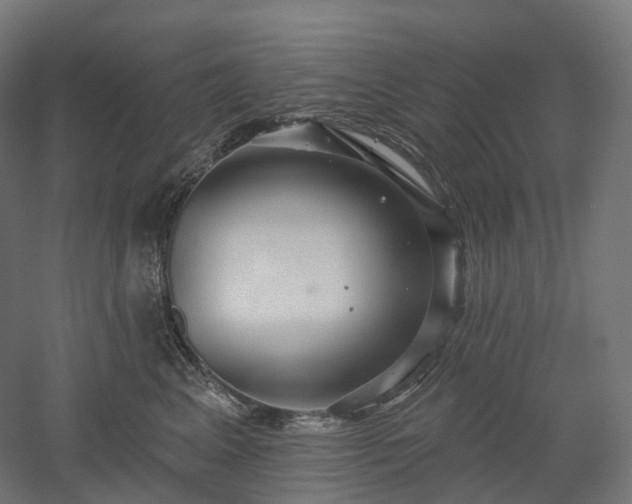 X0000052930617200507151618