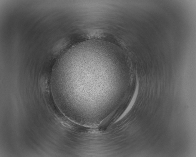 X0000052930619200507151618