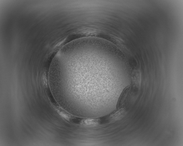 X0000052930622200507151618