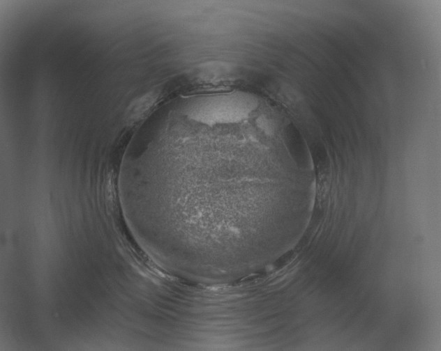 X0000052930623200507151618