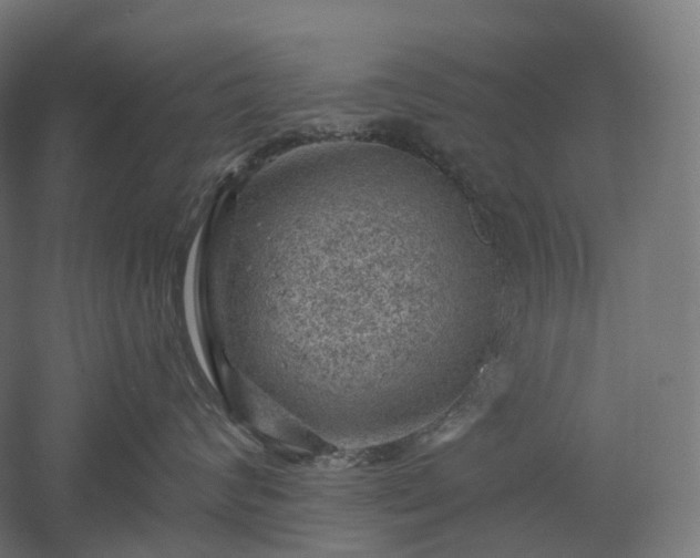 X0000052930624200507151618
