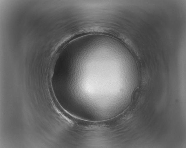 X0000052930625200507151617