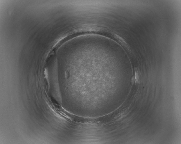 X0000052930627200507151617