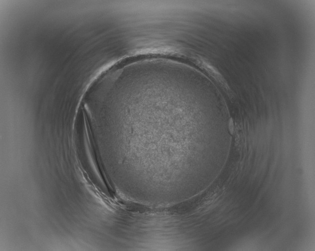 X0000052930628200507151617