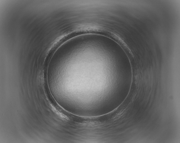 X0000052930629200507151617
