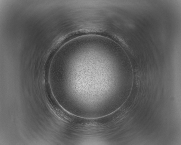 X0000052930631200507151618