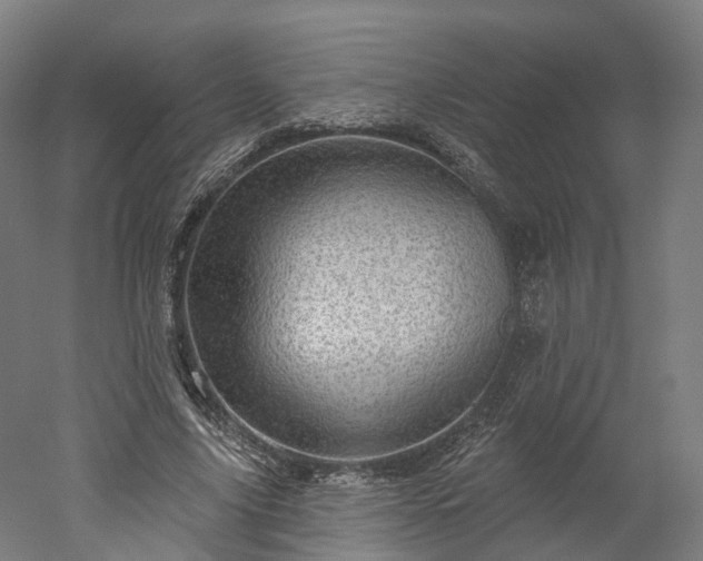 X0000052930635200507151618