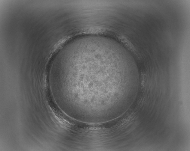 X0000052930636200507151618