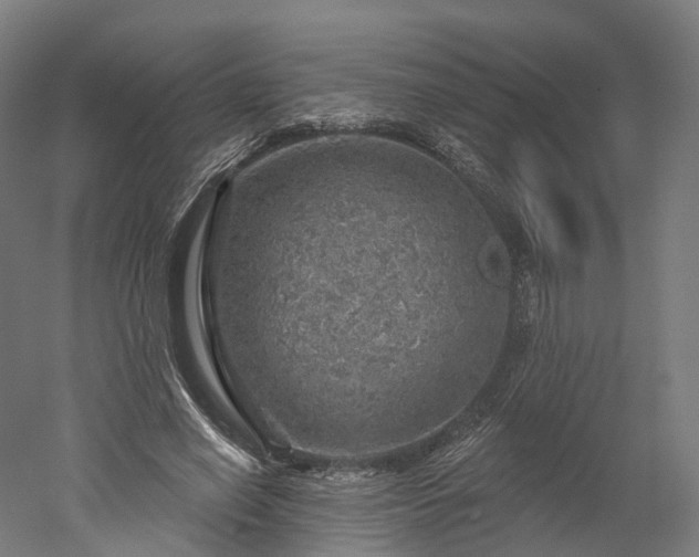 X0000052930638200507151618