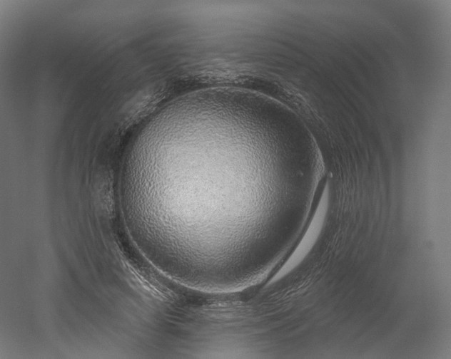 X0000052930642200507151618