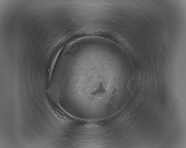 X0000052930644200507151618