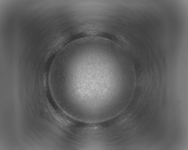 X0000052930646200507151618