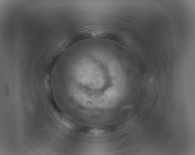X0000052930650200507151618