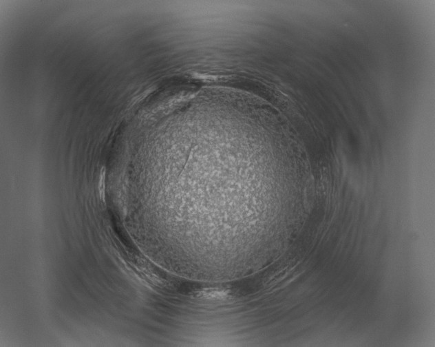X0000052930651200507151618