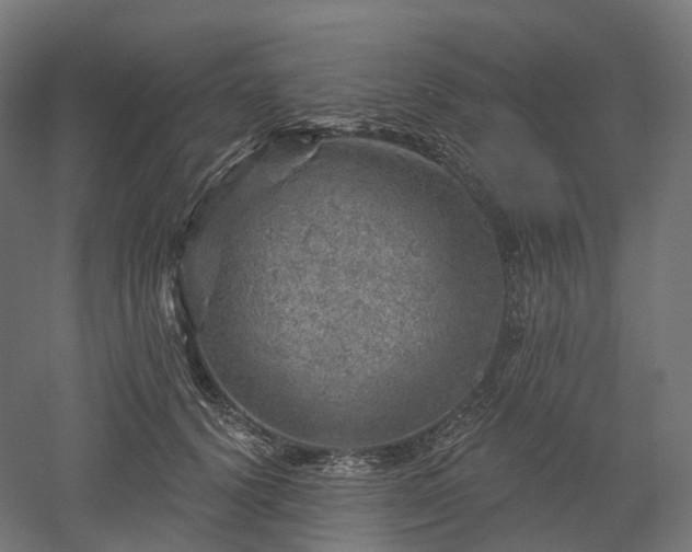 X0000052930656200507151618