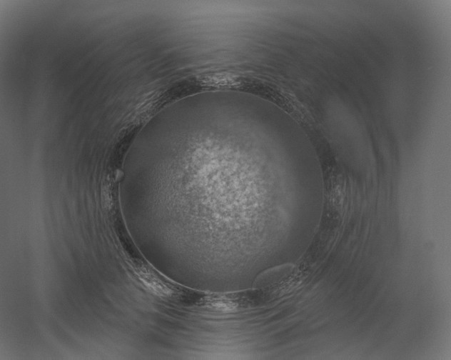 X0000052930658200507151618