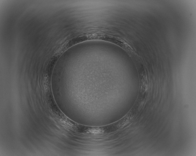 X0000052930659200507151618