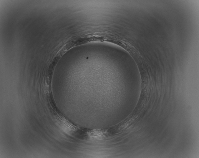 X0000052930661200507151618