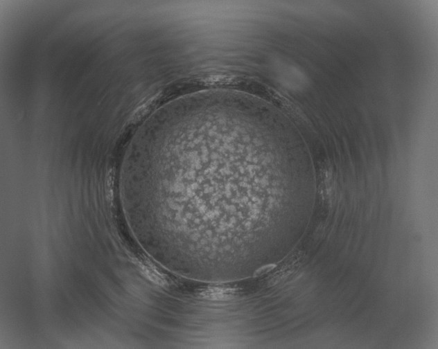 X0000052930664200507151618