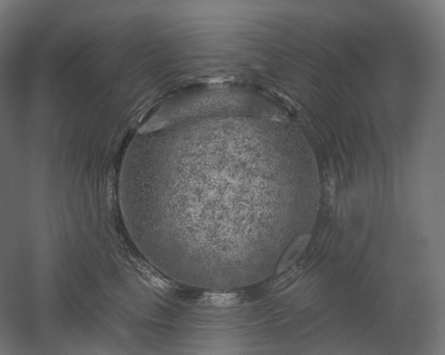 X0000052930665200507151618