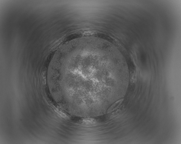 X0000052930666200507151618