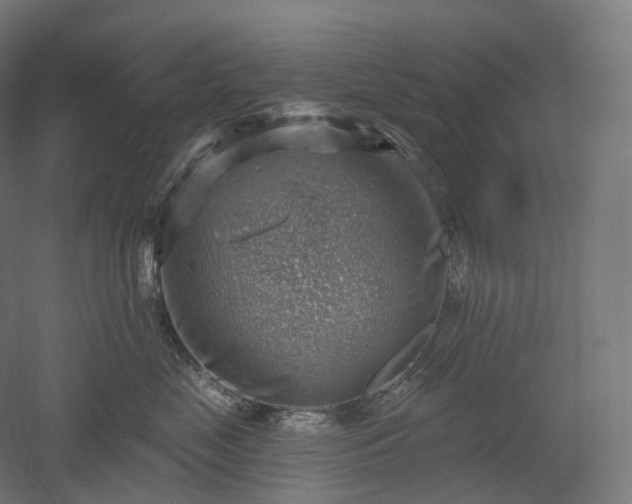 X0000052930669200507151618