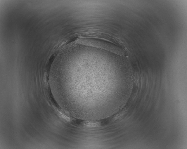 X0000052930670200507151618