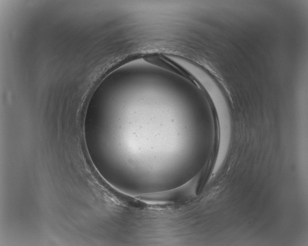 X0000052930673200507151617