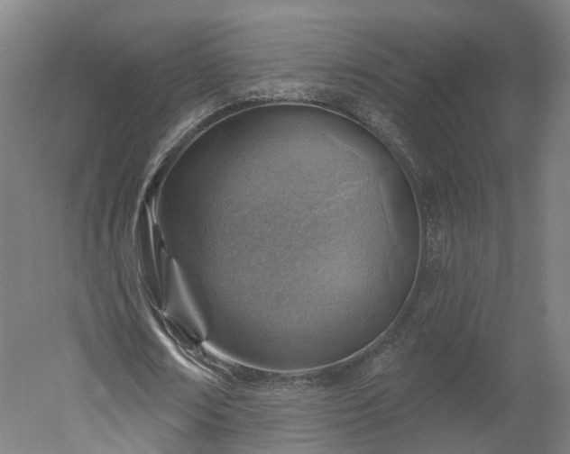 X0000052930674200507151617