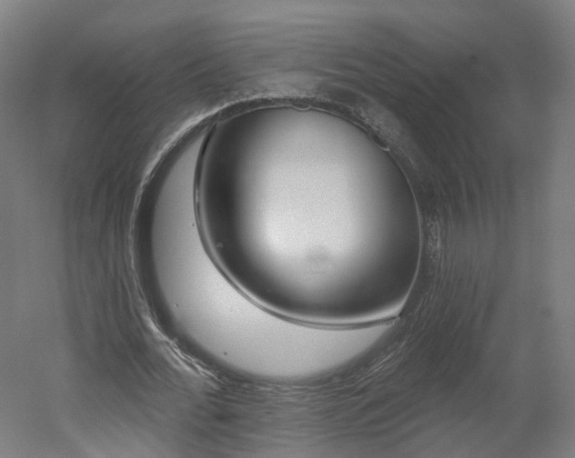 X0000052930676200507151617