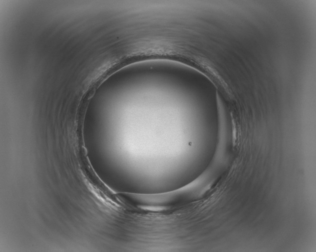X0000052930677200507151617