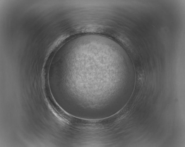 X0000052930678200507151617