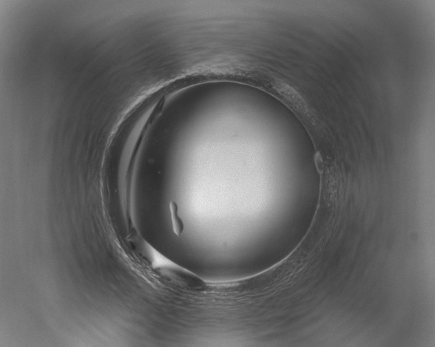 X0000052930680200507151617